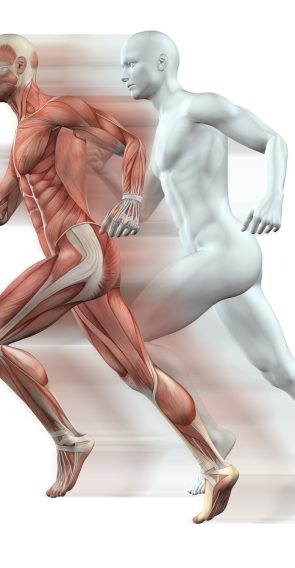3D render of male figures running with skin and muscle map